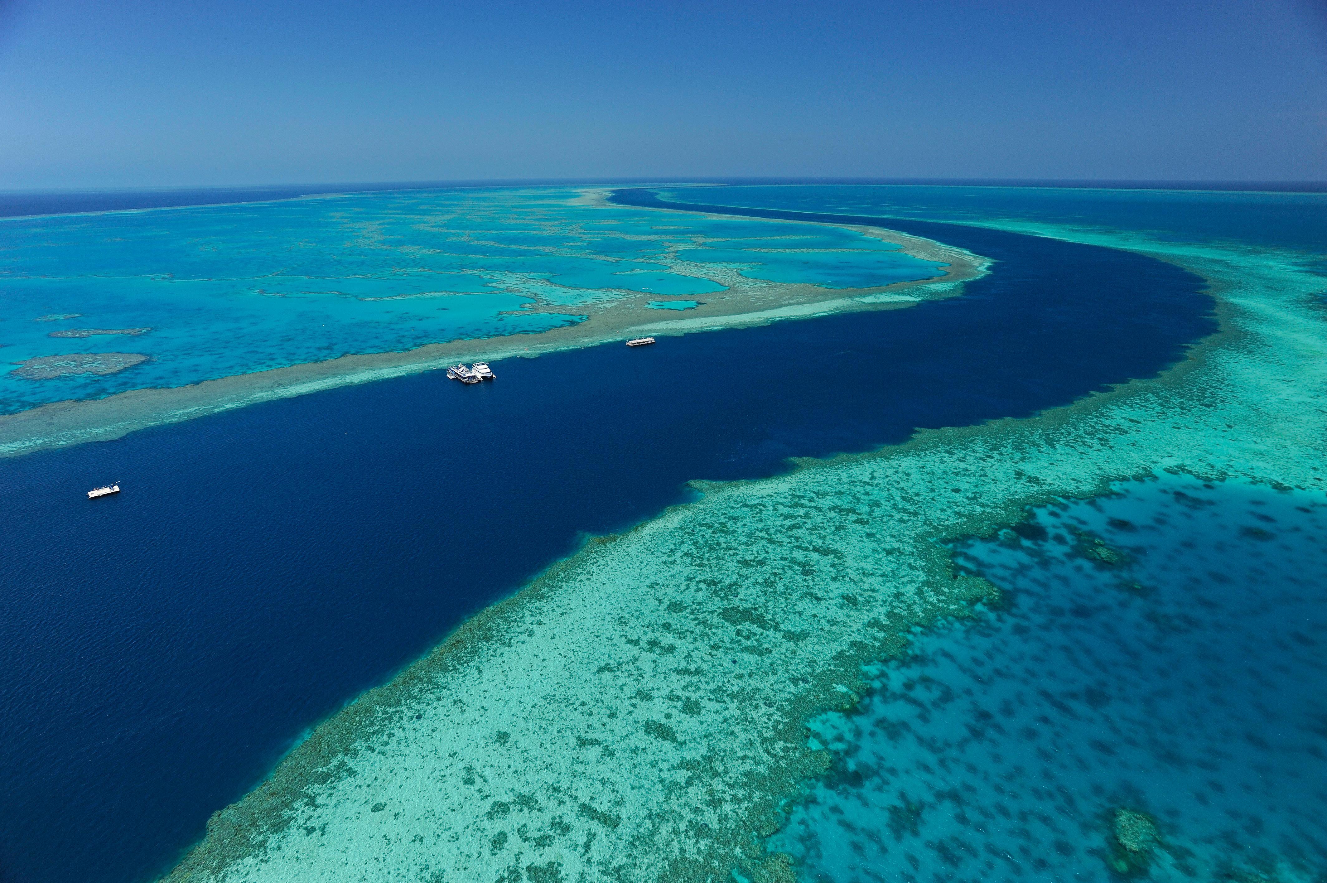 Reef View Hotel Hamilton Island Luaran gambar