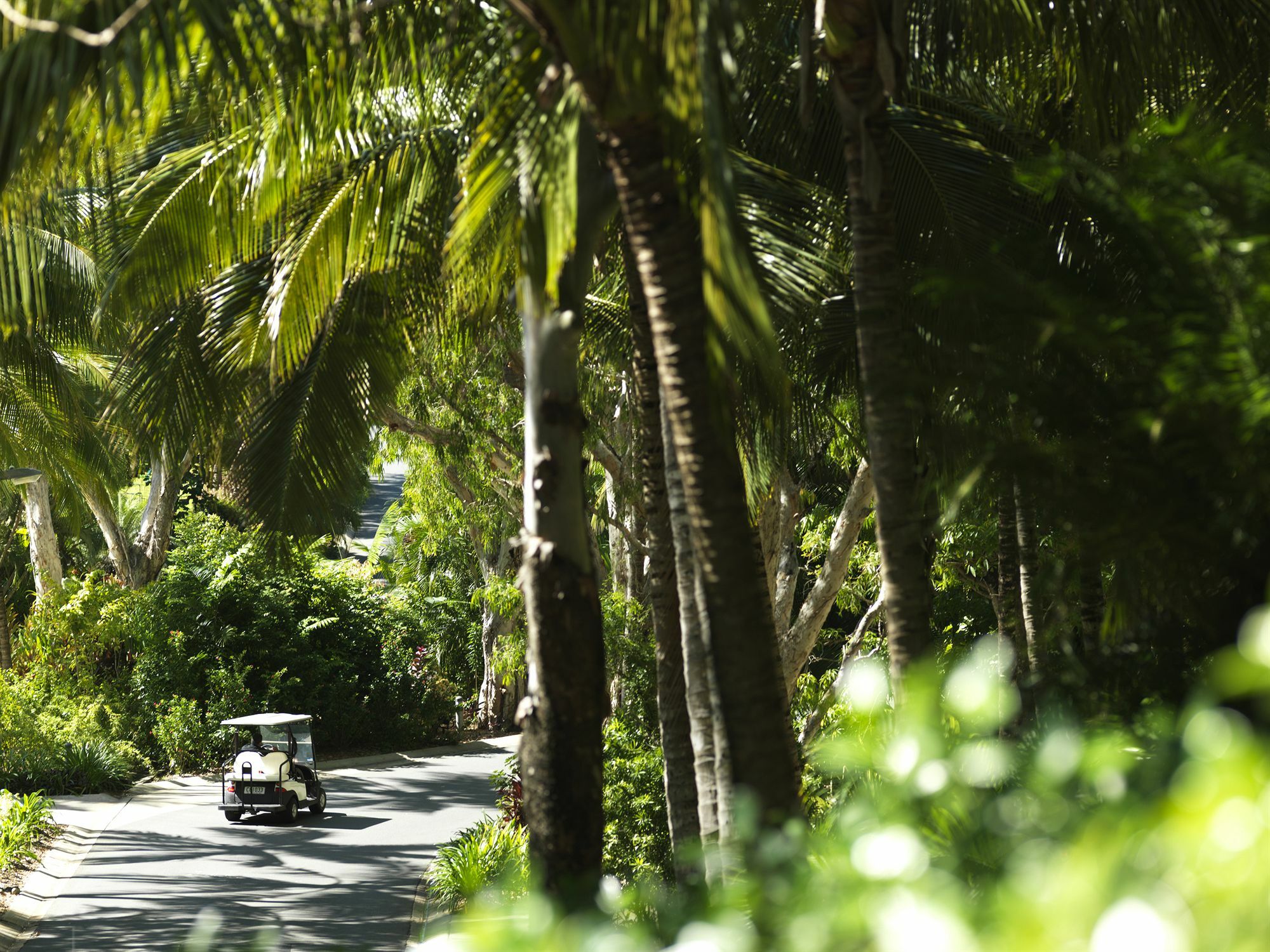 Reef View Hotel Hamilton Island Luaran gambar